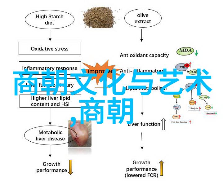 明朝垃圾还是清朝垃圾我是谁的后代追溯那些被遗忘的历史