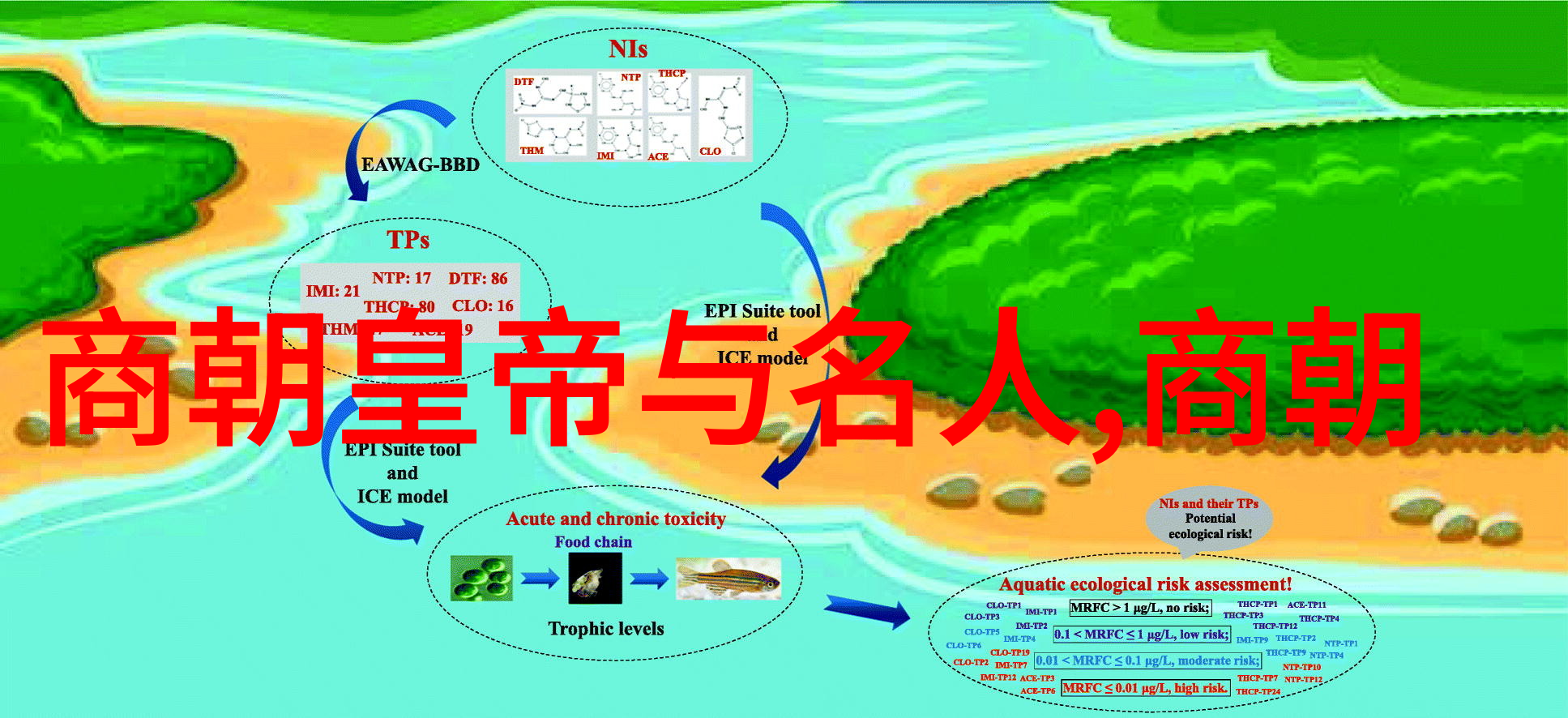 主题-中国体育明星的飞机驾驶日腹肌魅力与天空征服