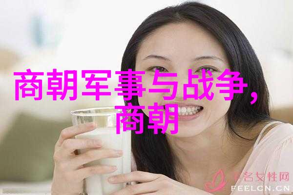 探索历史的长河朝代时间轴的艺术与科技融合