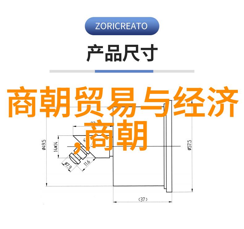 为啥朱元璋不选朱棣老朱为何偏心小明背后的政治与家族考量