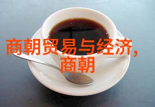 主题我国文化的璀璨从古诗词到茶艺的传承