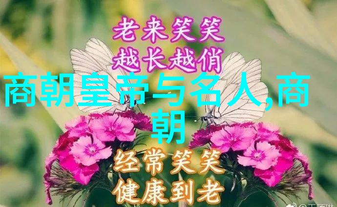 明军雄姿朱祁镇的战神传说