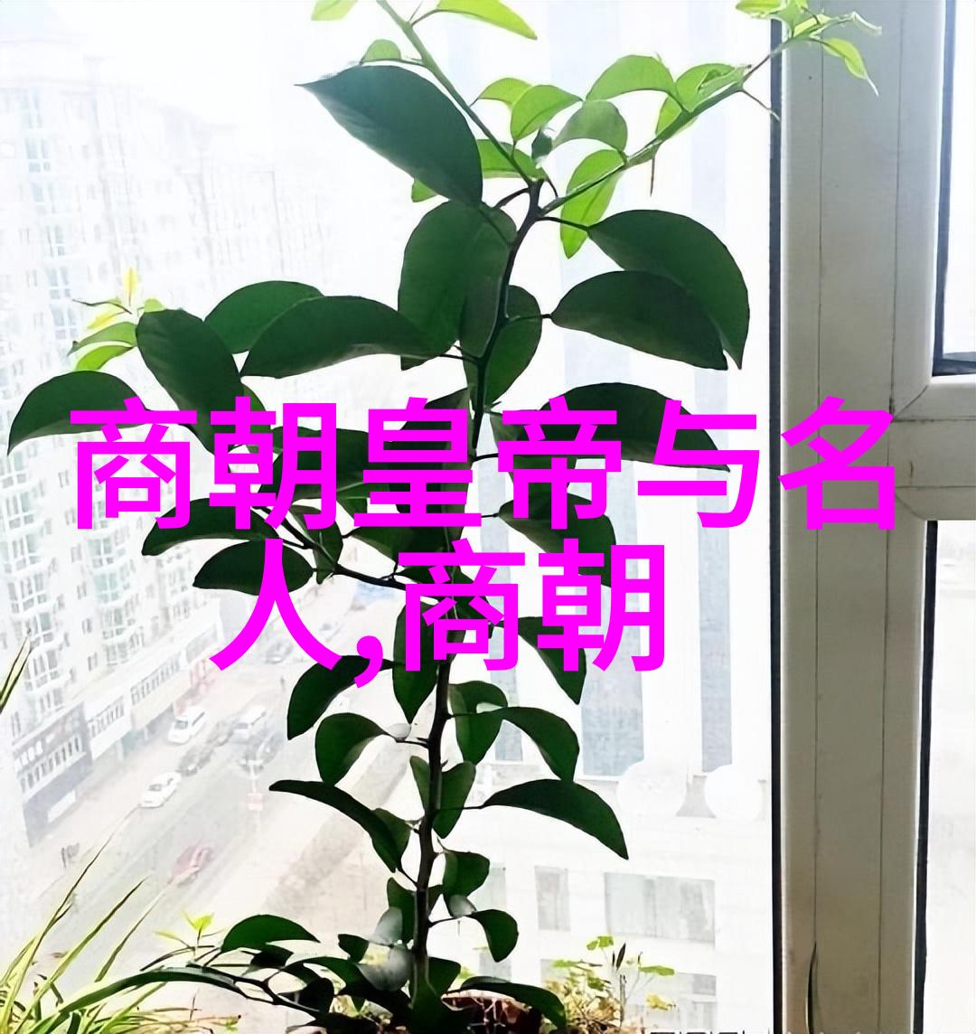 妈妈的魅力探索中文字幕高清视频背后的故事与文化意义