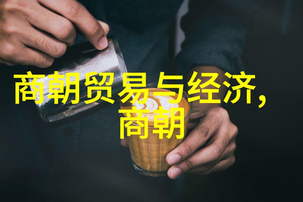 宋朝历史app穿越时空的古代社交网络