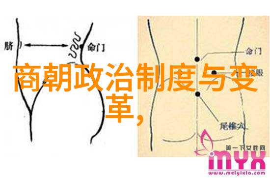 我变成了历史人物原来我就是那个改写了中国文字表达方式的字母王安国