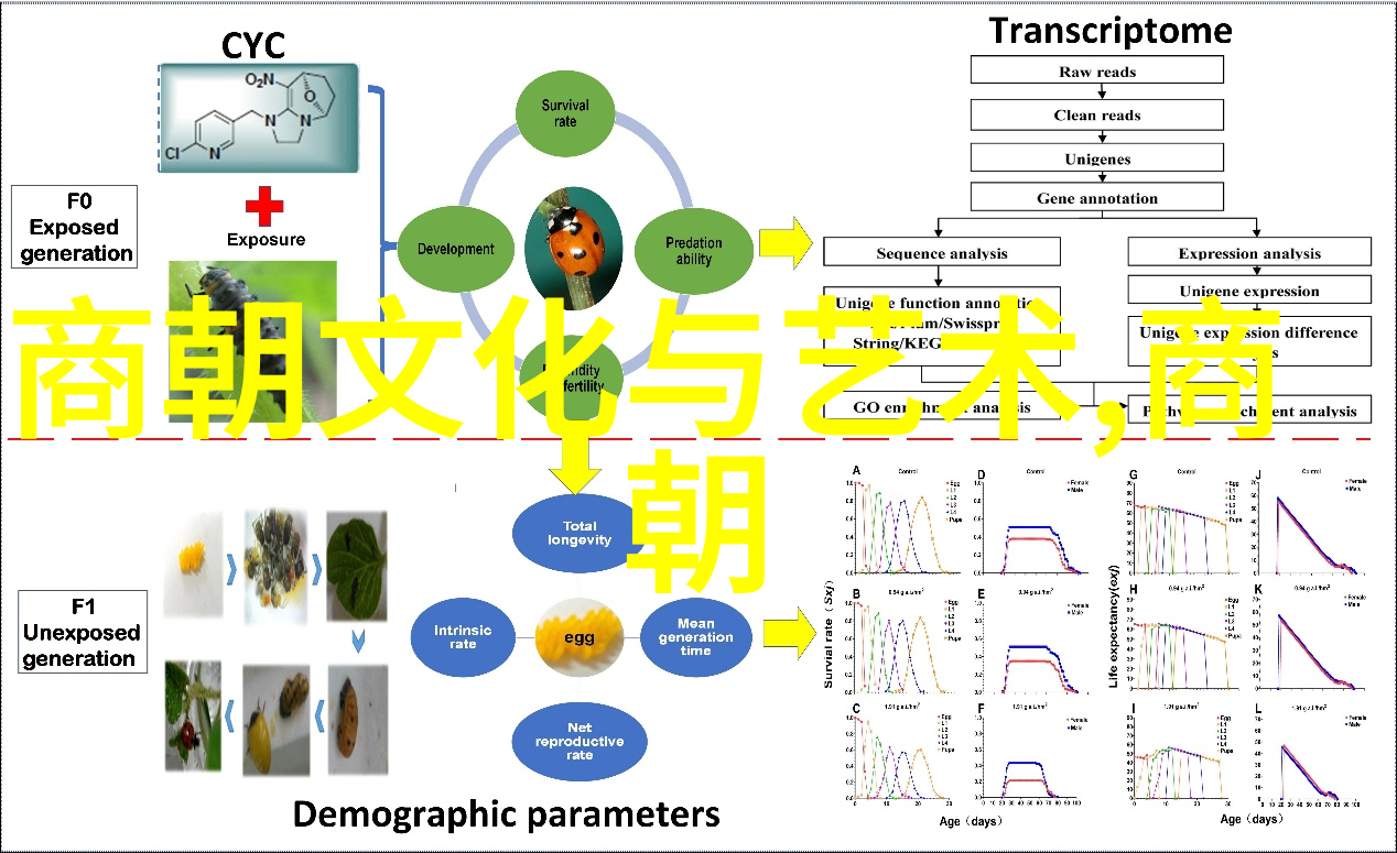 历史人物简介-揭秘古代智者孔子生活与思想的深度探究