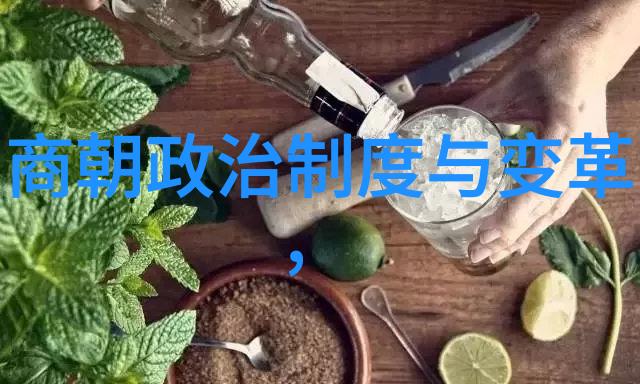 康熙皇帝清朝最伟大的君主