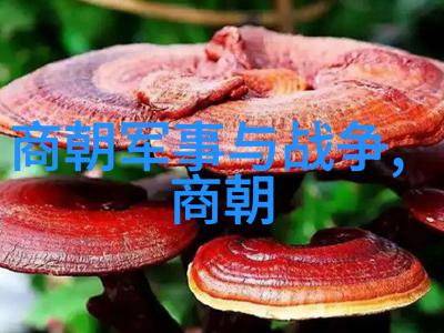 明朝的辉煌文治武功的长卷