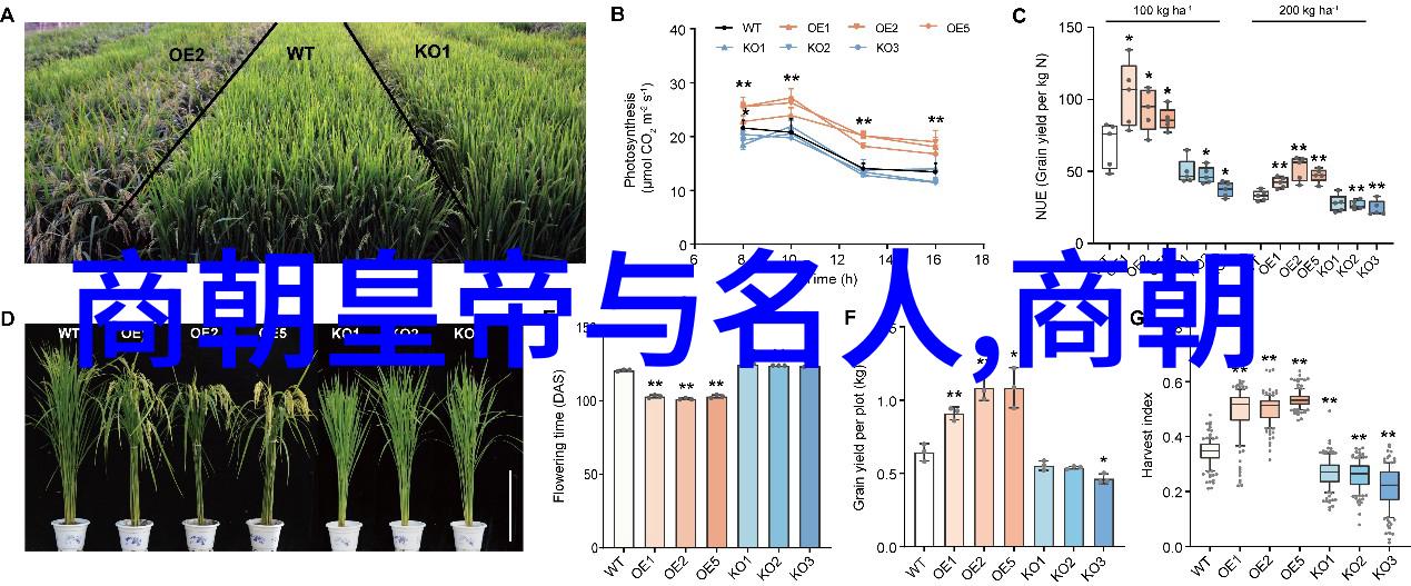 唐朝工科生技术与文明的双重奏鸣