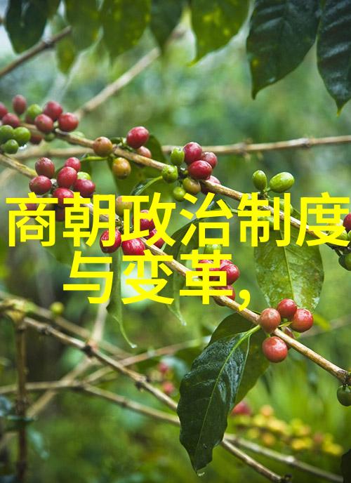 科学探索与创新忽必烈支持天文学家的传奇