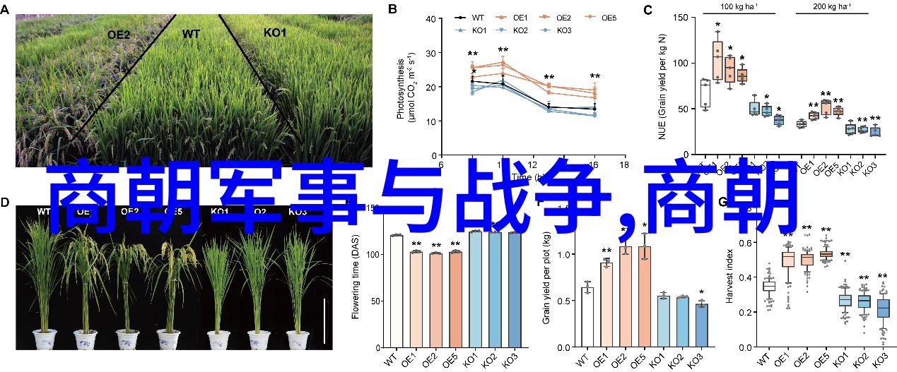 历史悬疑-朱允炆下落之谜明朝最后一位皇帝的神秘消失