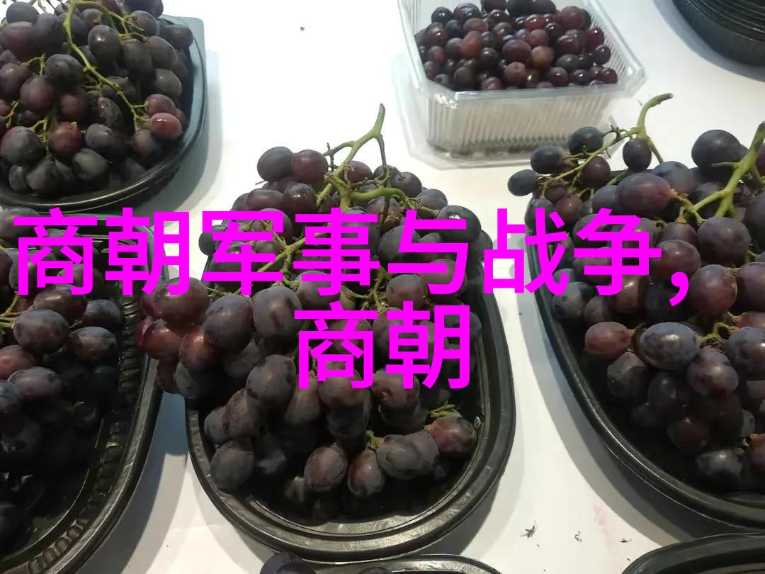 红楼梦中的明末清初转折点