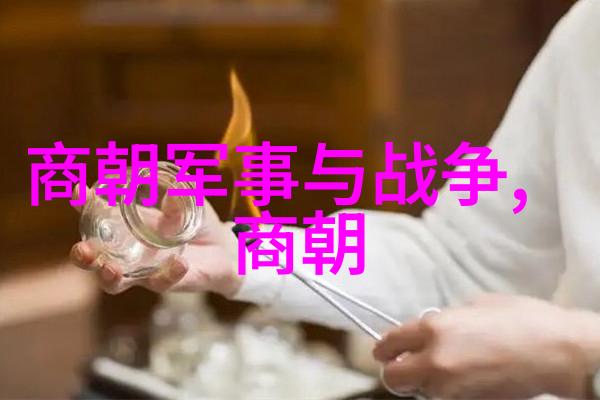 从秦到清探索长城上的帝王们的文化遗产