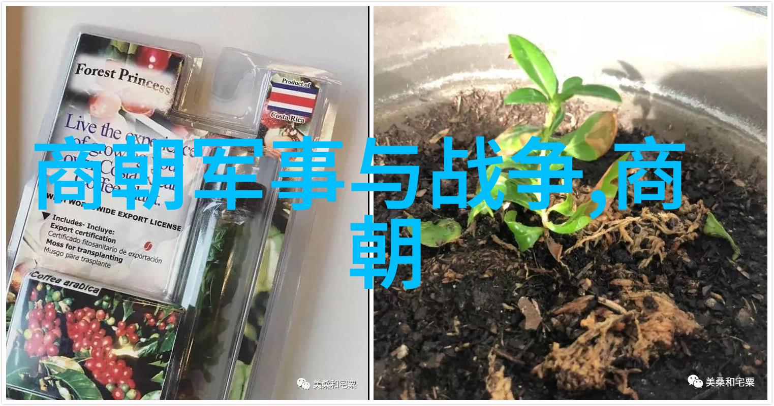 北方民族的兴衰从宋齐梁陈的历史篇章看中华文明的流变