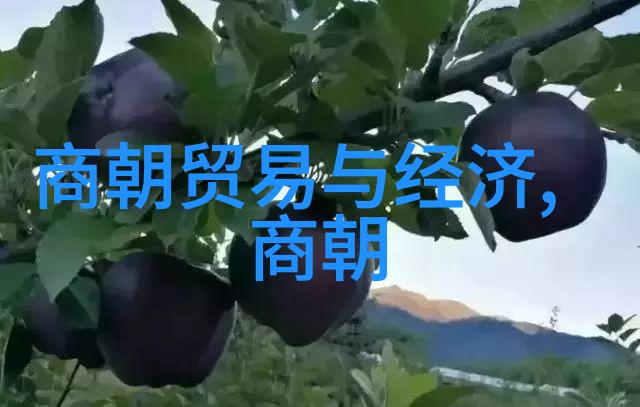 玩火文本总结探索欲望与毁灭的边界