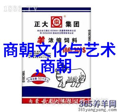 历史概述-明朝顺序列表及简介龙凤盛世与末日沦丧