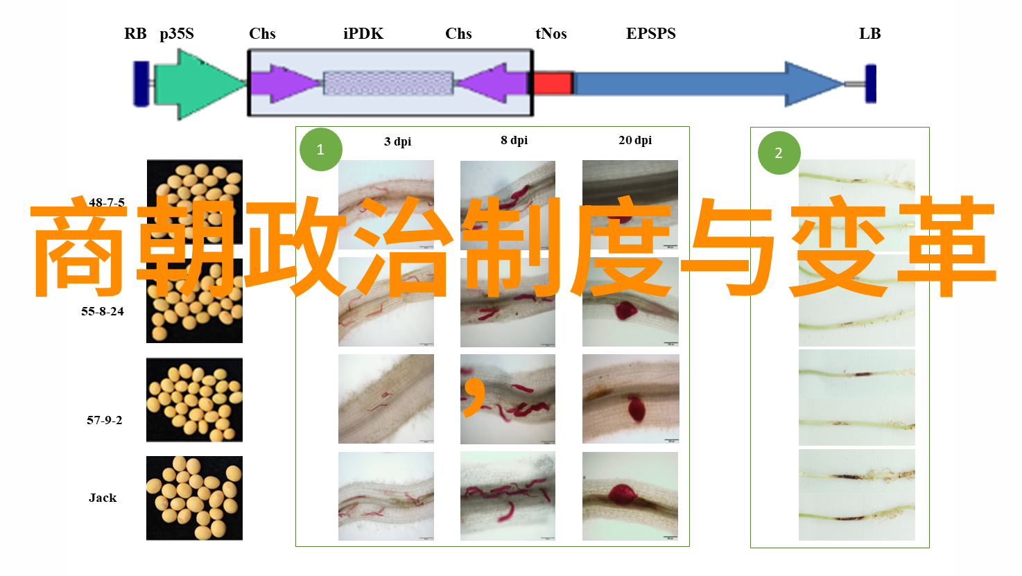 宋朝在世的历代文化与艺术的瑰宝