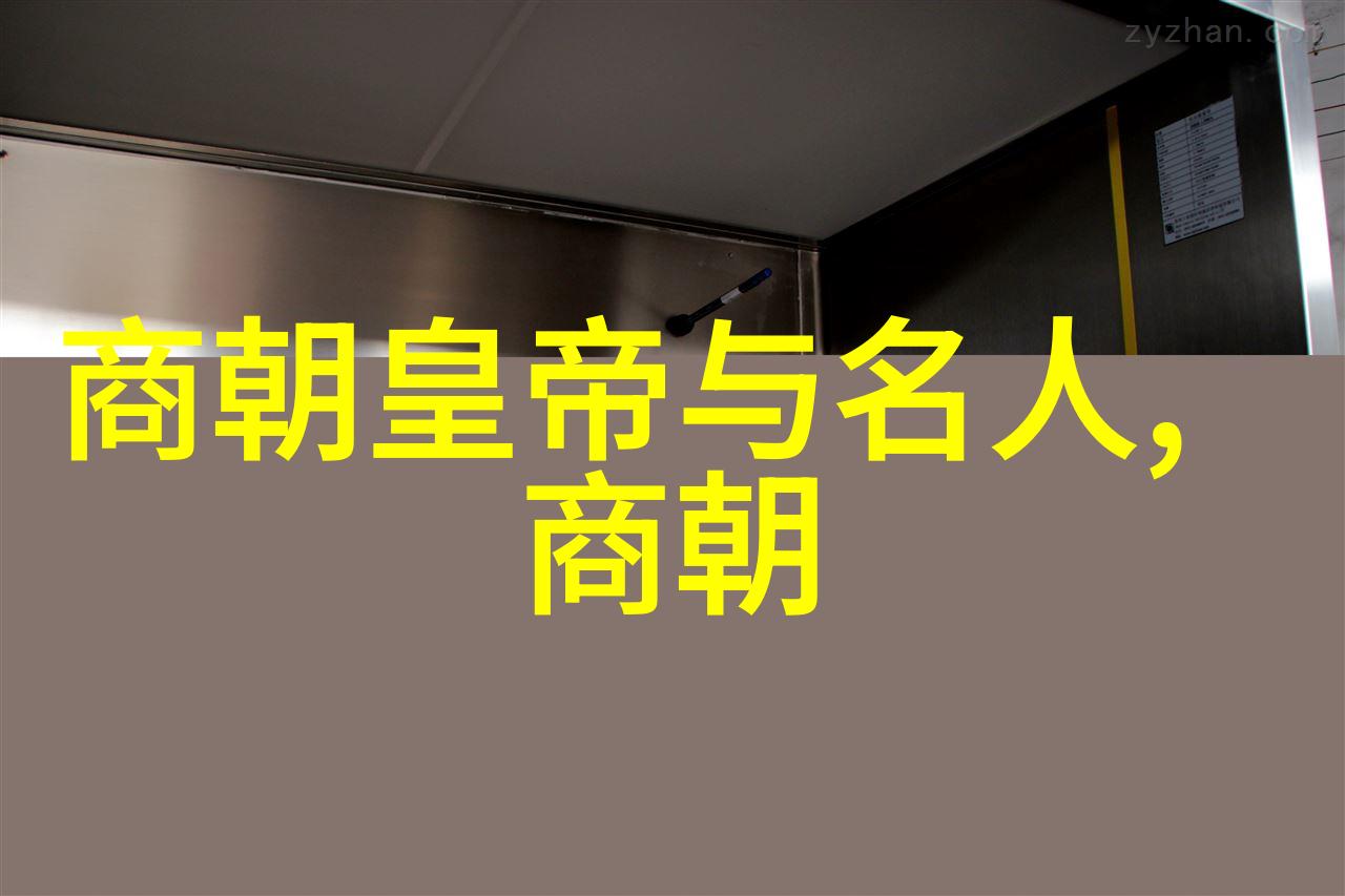 元代对外贸易如何影响了其首都是什么样的城市环境