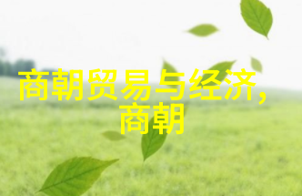 宋朝最后一个皇帝的孤独他真的无路可走吗