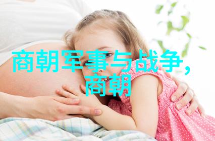 外患与内部矛盾如何共同导致了明朝的衰败