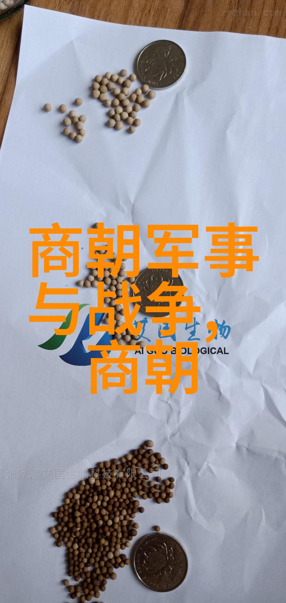 二战时期的著名故事我亲眼见证的那场世界末日