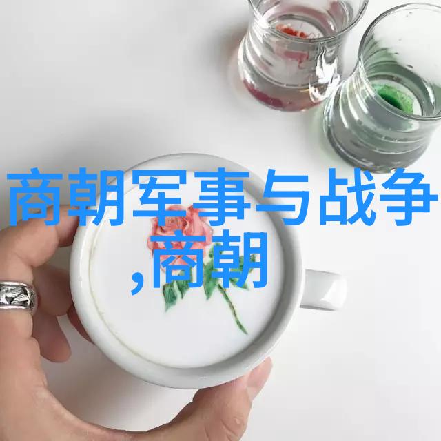 穿越时空的幽默讲师揭秘明朝那些事儿