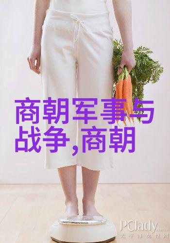 明朝的英宗朱祁镇凭借何种条件和成就而得以称号