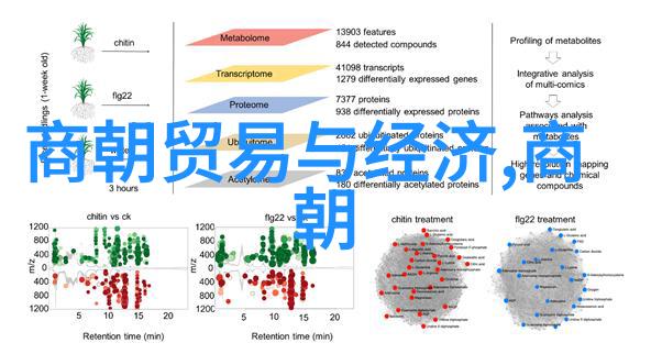 神话世界里的奇迹民间十大传说故事探索