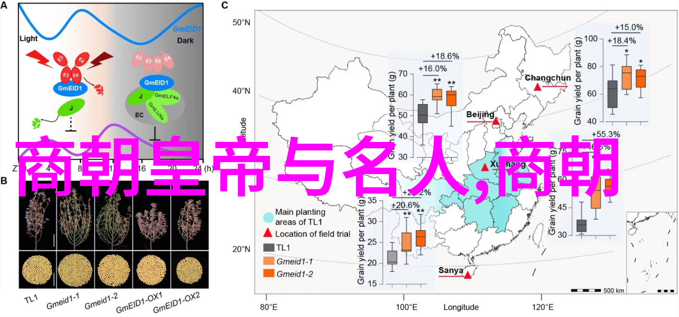 古典文学-出金屋记传说中的婚姻与财富的交易