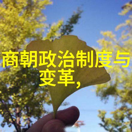 黄河的脉动与龙门石窟的守望河南文化的古韵与现代篇章