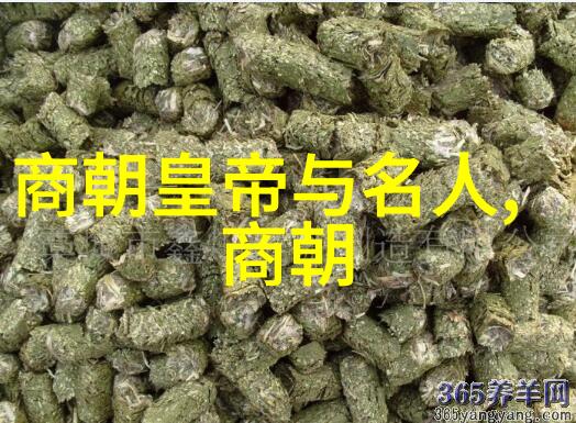 黄梅戏中的严凤英歌声与泪光的传承者