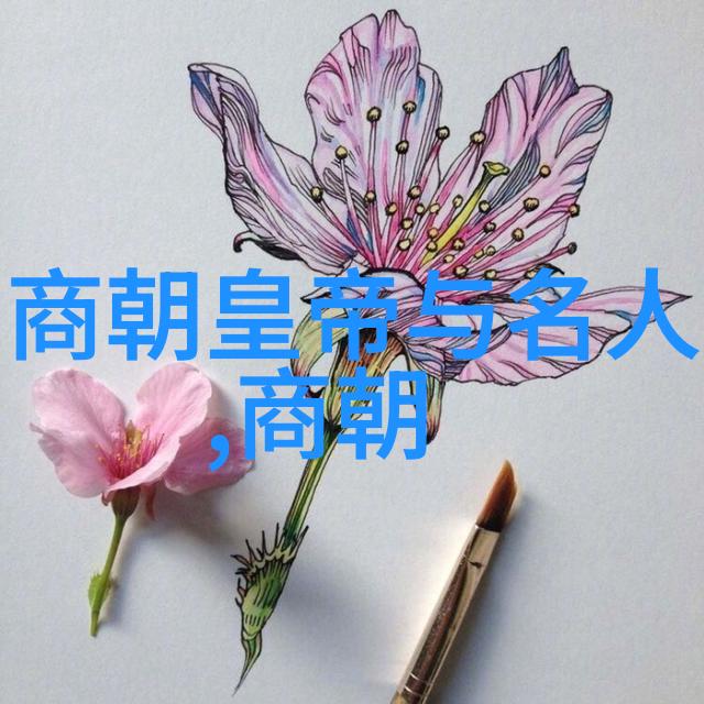 心灵的流动捕捉口述情感故事的艺术与技巧