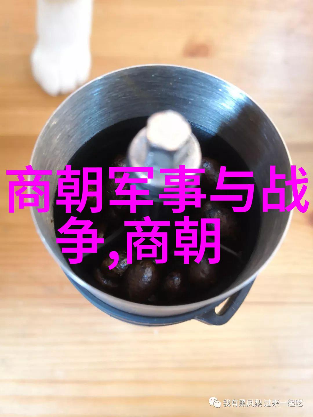 历史人物探秘揭开古代智者之谜