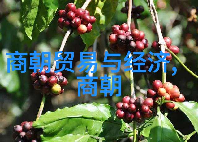 金银花露海棠笔趣阁探秘菊内留香的文化背后