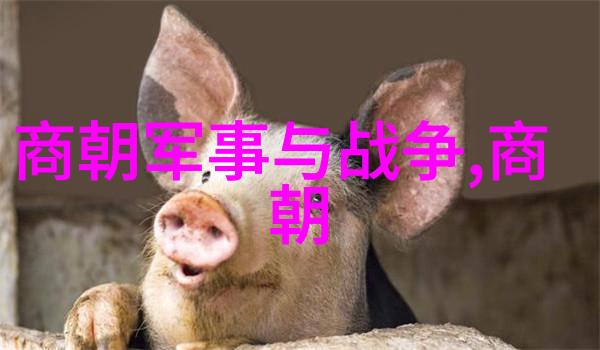 国色生香未删减版免费阅读-国色生香完整篇章尽在此处