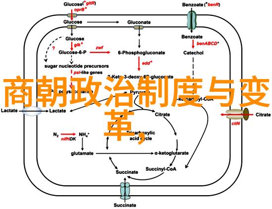 楚庄王力行改革开创楚国强盛之基