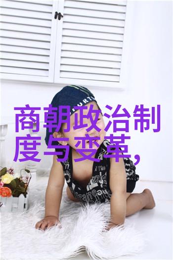 明朝英宗朱祁镇最无耻的政治手段探究权谋与道德边界的考察