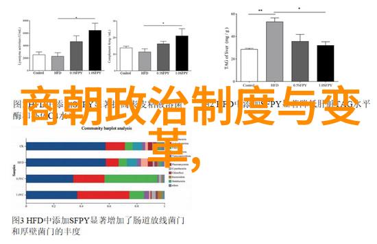 静谧力量的舞蹈解读黑人缓慢而有力的往里挺视频的深层意义