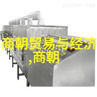 南宋开国之主赵构从靖康之变到建都临安的历史转折