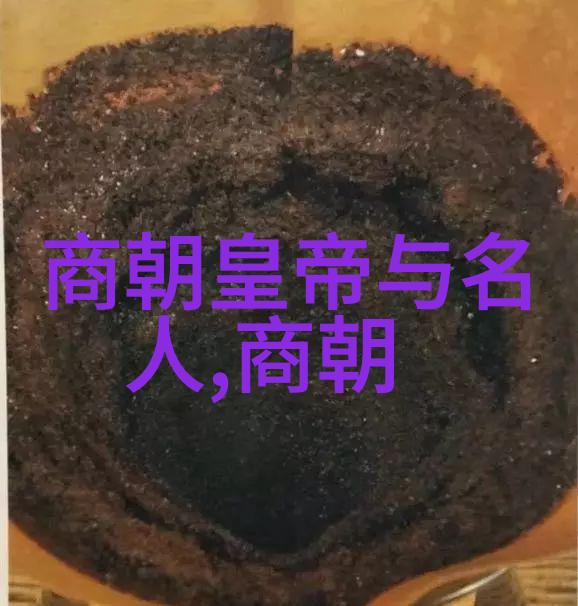 唐朝的鼎盛唐朝文化政治经济成就