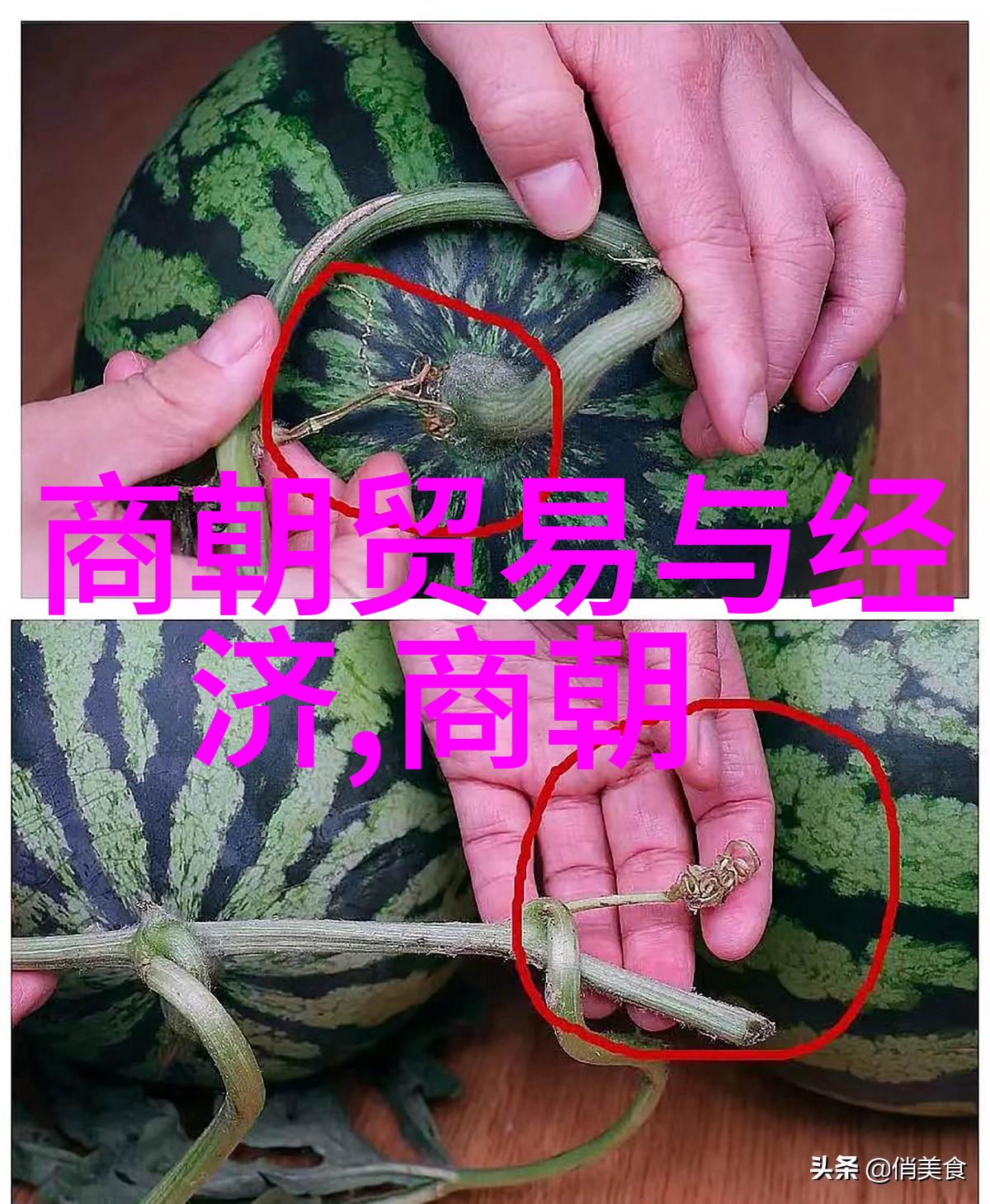 苗族舞蹈节奏中的生命活力