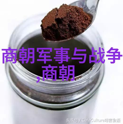 文明与文化传承与发展的交响篇章