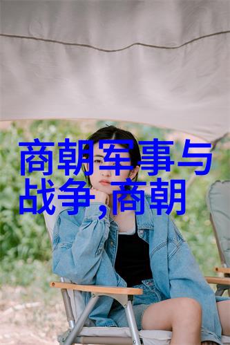 明朝无昏君之谜社会脉络下的兴衰变迁