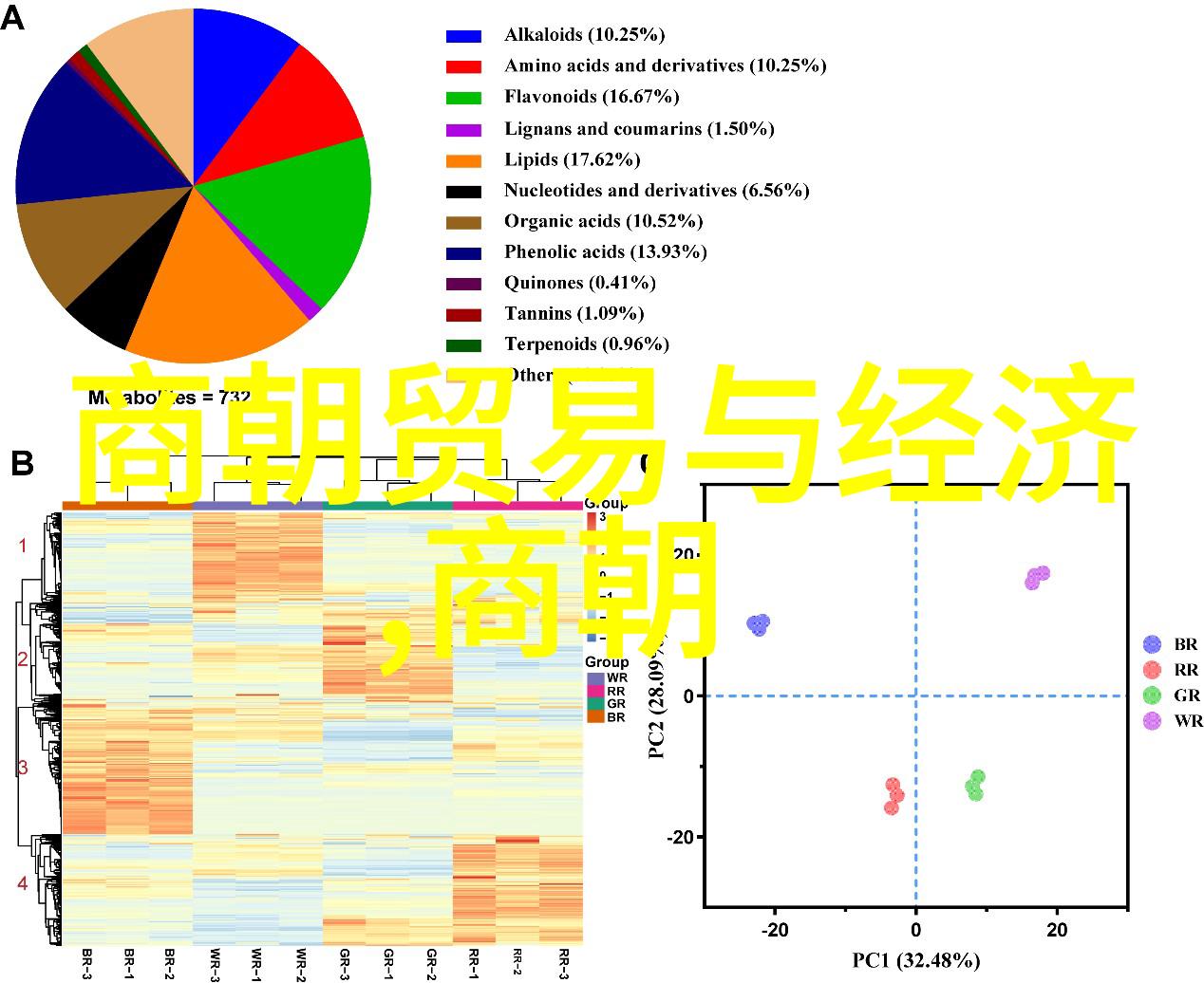 四房播播图片四房直播平台精彩照片