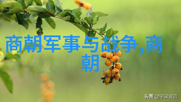 面具背后的故事京剧脸谱颜色的深层含义