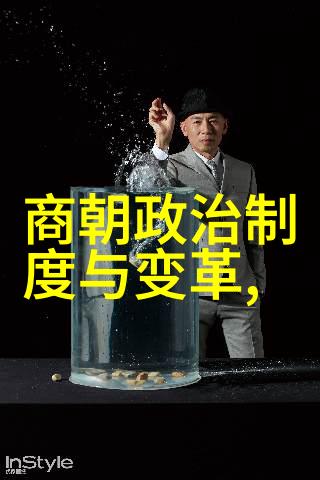 明朝皇权之巅哪一位帝王治国最为明智