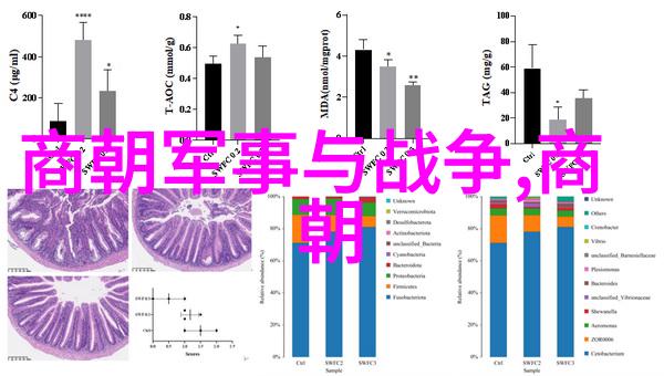 南宋和北宋的历史资料我来告诉你揭秘两宋时期的宝贵文献