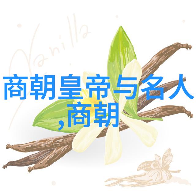 奇闻轶事怎么理解 - 拨云见日揭秘那些神秘故事背后的真相