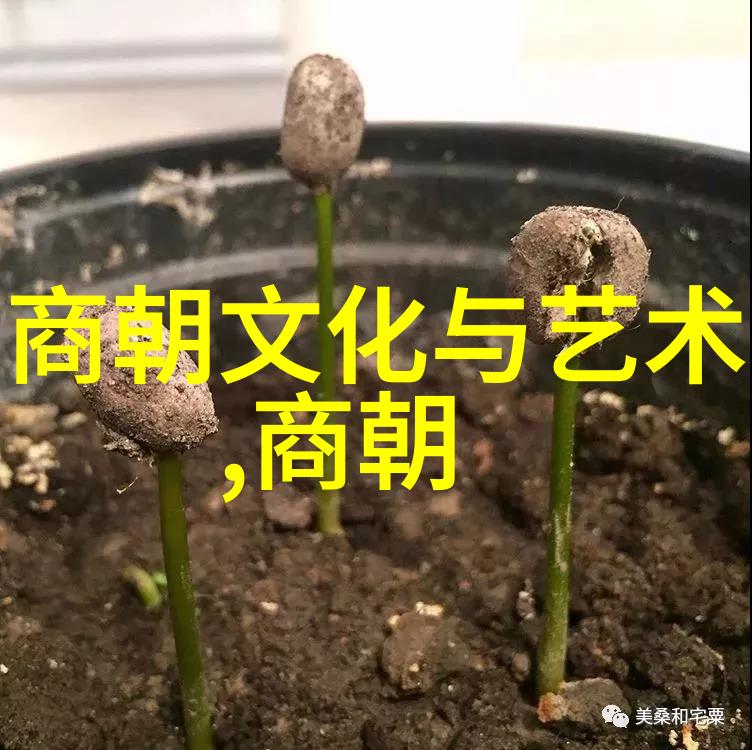 月下追逐嫦娥奔月的古老传说