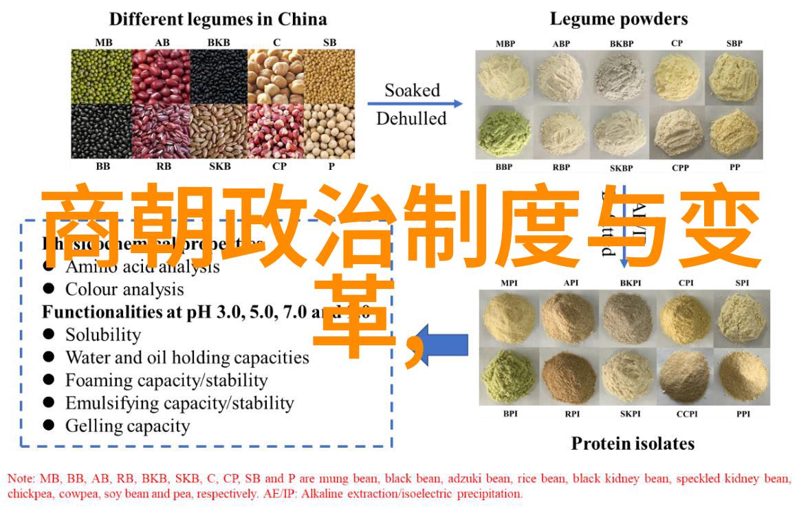 两宋之交的名人-金玉满堂两宋时期交往盛事中的巨星